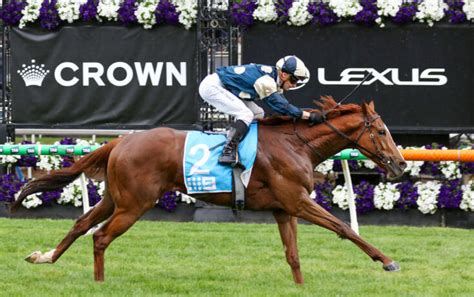 railway stakes field|Railway Stakes 2024 .